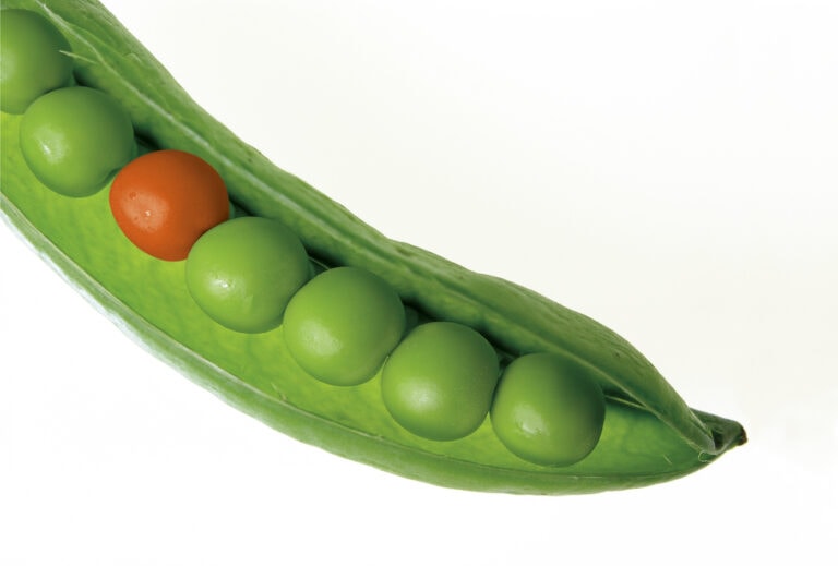 Guardianships and Conservatorships: Two Different Peas in a Pod