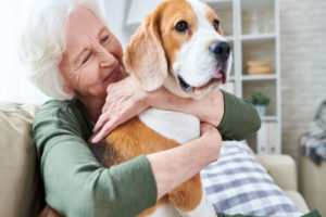 Pets for Seniors